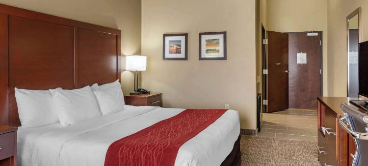奥古斯塔舒适套房酒店(Comfort Inn & Suites Augusta)图片