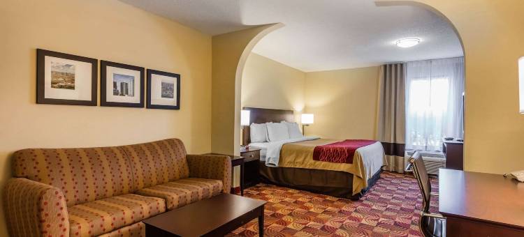 贾斯珀78号公路西舒适套房酒店(Comfort Inn & Suites Jasper Hwy 78 West)图片