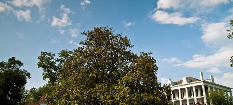 杜恩莱斯历史旅馆(Dunleith Historic Inn)图片