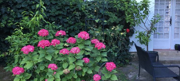 芒达兰酒店(La Mandarine)图片