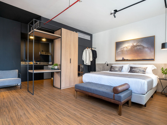 天鹅世代波尔图阿雷格里