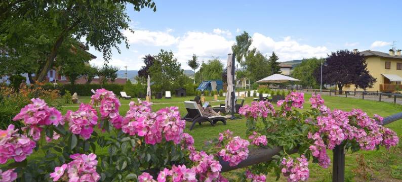 小熊布鲁诺(Piccolo Orso Bruno)图片