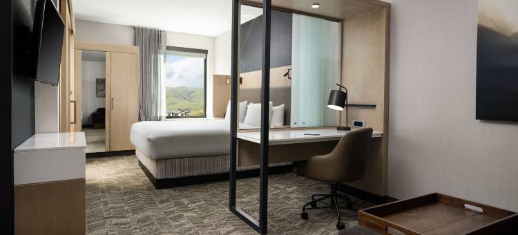 米尔皮塔斯硅谷万豪SpringHill Suites酒店(SpringHill Suites Milpitas Silicon Valley)图片