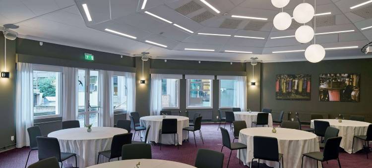 布罗斯斯堪迪克广场酒店(Scandic Plaza Borås)图片