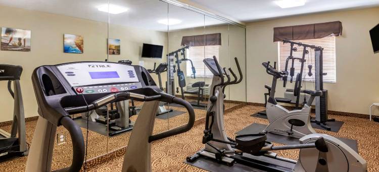 舒适套房酒店(Comfort Inn & Suites)图片