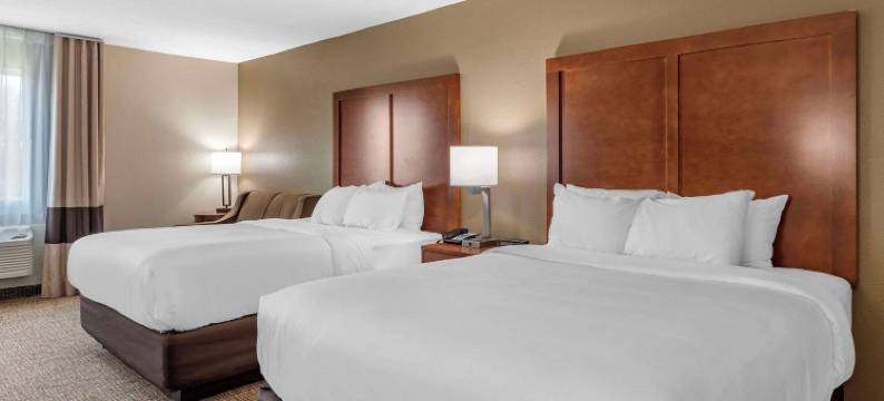 舒适酒店(Comfort Inn)图片