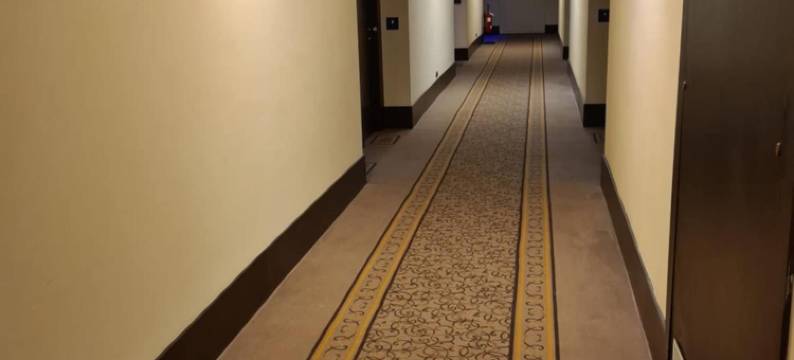 韦尔切利皇宫酒店(Vercelli Palace Hotel)图片