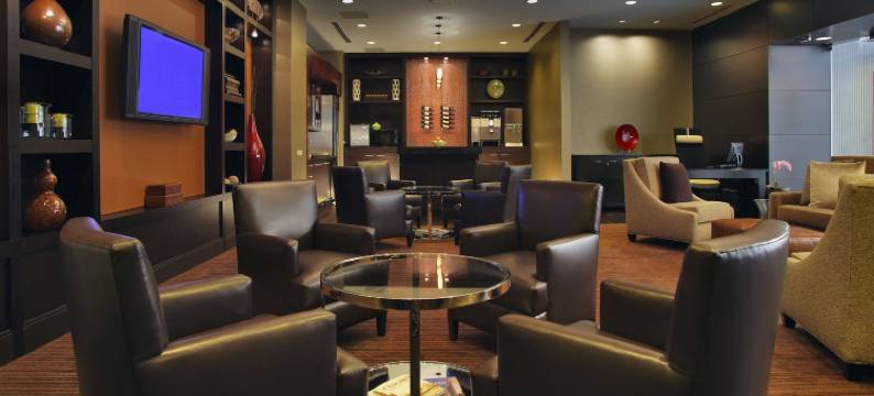 凯悦雷根西奥黑尔芝加哥(Hyatt Regency O'Hare Chicago)图片