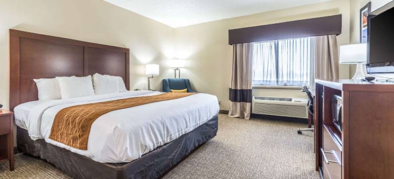 费斯特-南圣路易斯舒适酒店(Comfort Inn Festus-St Louis South)图片