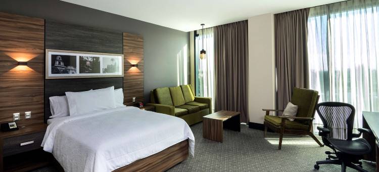 希尔顿花园酒店-阿瓜斯卡连特斯(Hilton Garden Inn Aguascalientes)图片