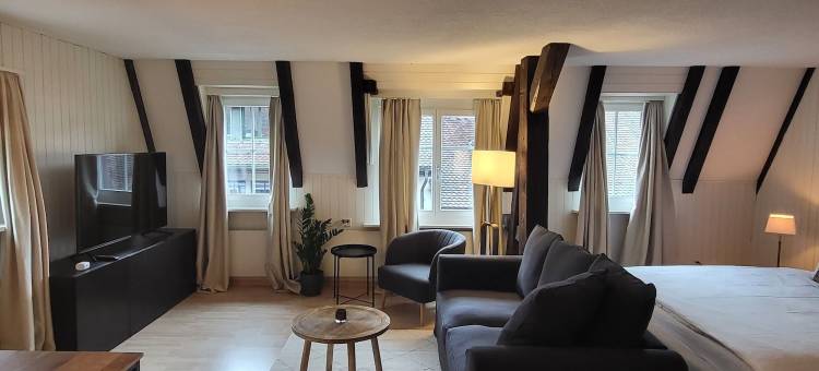 楚格中心时尚公寓(Stylish Apartment in the Heart of Zug by Airhome)图片