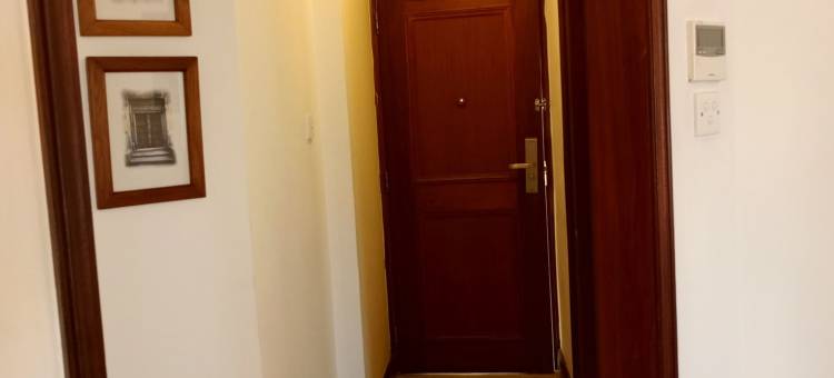 Sarovar Portico印度的苍鹭(The Heron by Sarovar Portico India)图片