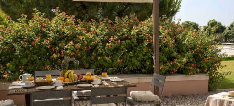 维拉比库达度假村(Vila Bicuda Resort)图片