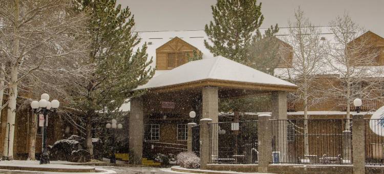 I-17&I-40号舒适酒店(Comfort Inn I-17 & I-40)图片