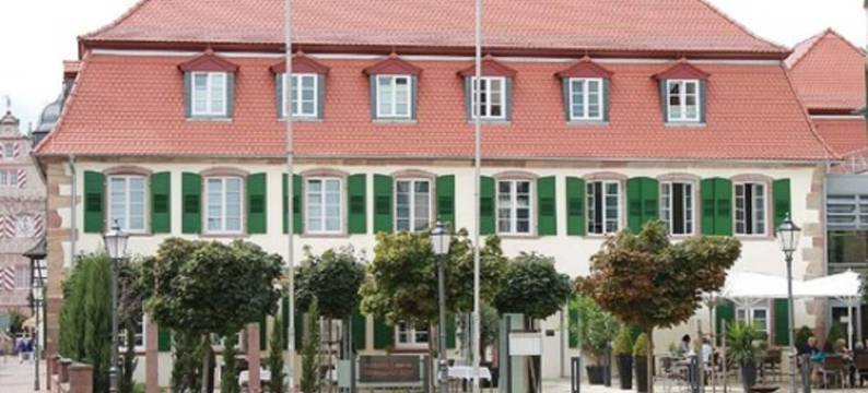 贝根扎伯纳城堡酒店(Schlosshotel Bergzaberner Hof)图片