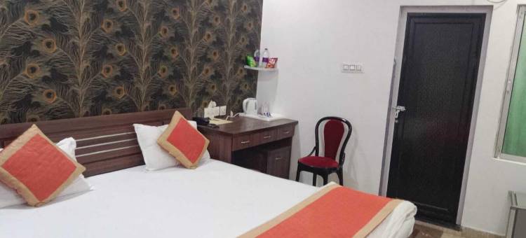 夏利玛宫酒店(Hotel Shalimar Palace)图片