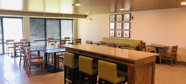 丽笙乡村套房酒店 - 田纳西塞维尔维尔柯达(Country Inn & Suites by Radisson, Sevierville-Kodak, TN)图片