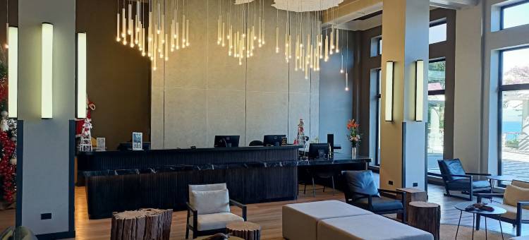 享受普孔酒店(Hotel Enjoy Pucon)图片