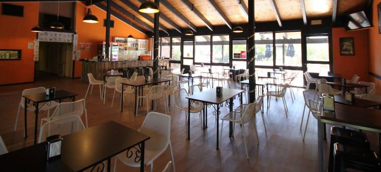 梅拉鲁加酒店(Melaleuca Lodge Beaconsfield)图片