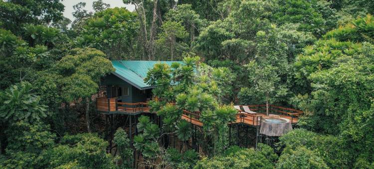 查查古亚雨林旅馆及温泉(Chachagua Rainforest Hotel & Hot Springs)图片