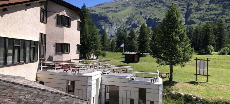 拉贝桑纳斯(La Bessannaise)图片