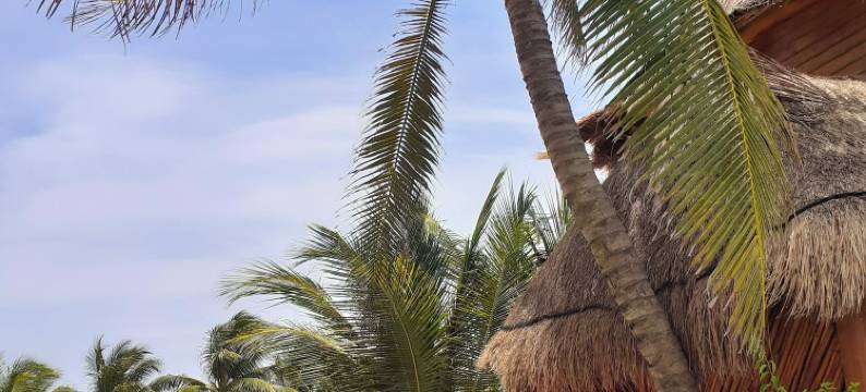 马哈瓦尔棕榈小屋(Palmeras de Mahahual Cabañas)图片