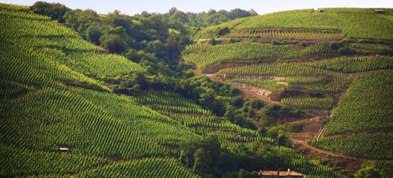 普伊昂诺克苏瓦宜必思快捷酒店(Ibis Budget Pouilly-en-Auxois)图片