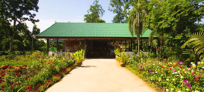 乡村湖天然酒店(The Country Lake Nature Lodge Hotel)图片