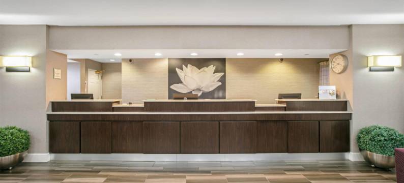 欧文DFW机场南拉昆塔温德姆套房酒店(La Quinta Inn & Suites by Wyndham DFW Airport South / Irving)图片