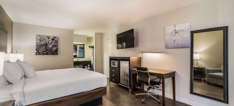 克拉丽奥套房酒店(Clarion Inn & Suites)图片