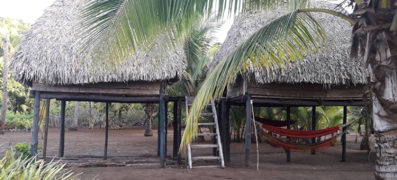 拉帕查玛玛酒店(Hostal Pachamama)图片