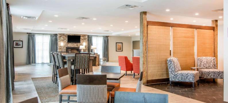 舒适套房旅馆(Comfort Inn & Suites East Ellijay)图片