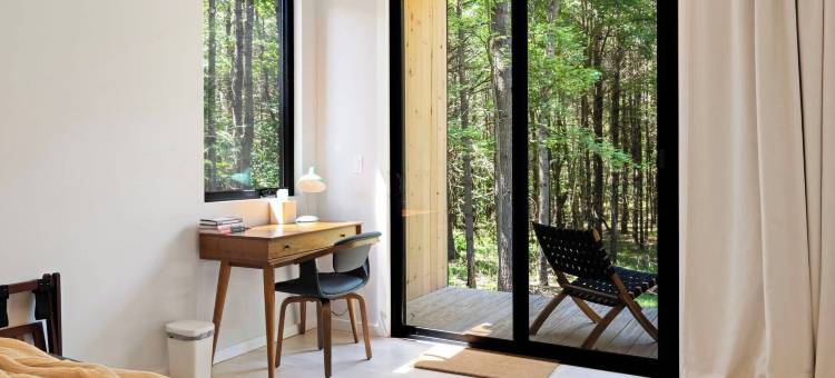 100英尺森林之光 - 现代卡茨基尔度假屋(100ft of Forest Light - Modern Catskills Escape)图片