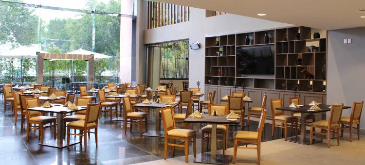 Holiday Inn 墨西哥城大理机场(Holiday Inn Mexico Dali Airport)图片