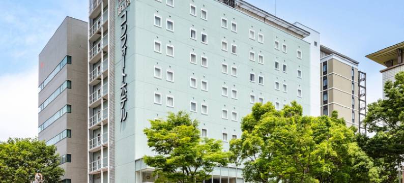 成田机场舒适酒店(Comfort Hotel Narita)图片
