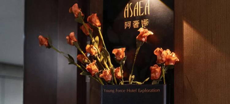 阿奢娜 · Designer Hotel(深圳罗湖水贝珠宝城店)图片