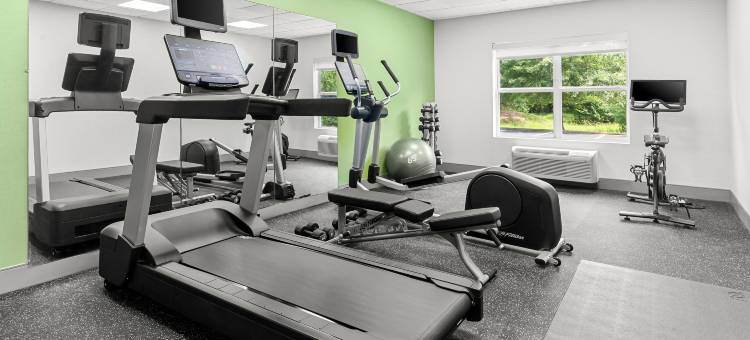 Spark by Hilton Sumter图片