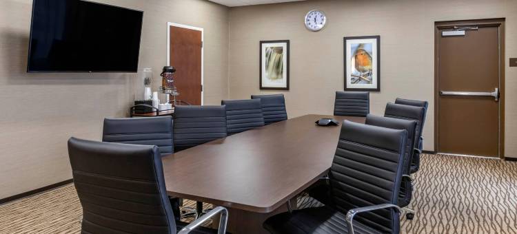 舒适套房酒店(Comfort Inn & Suites)图片