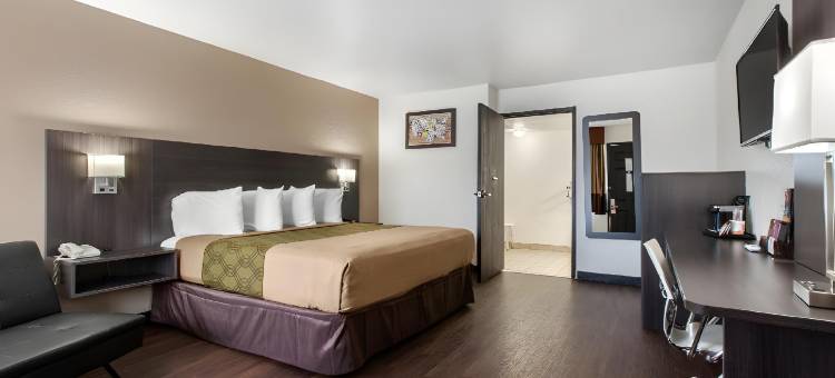 SureStay Hotel by Best Western Phoenix Airport图片