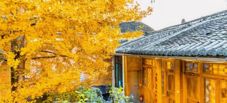 腾冲银杏村山哥客栈图片