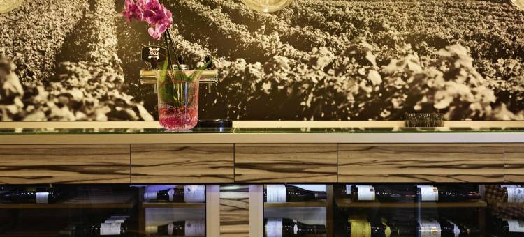 宜必思欧洲索恩河畔沙隆酒店(Ibis Chalon-Sur-Saône Europe)图片