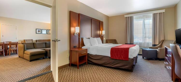 戈尔特-北洛迪舒适酒店(Comfort Inn & Suites Galt - Lodi North)图片