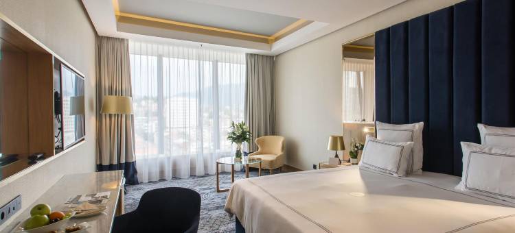 萨拉热窝瑞士酒店(Swissôtel Sarajevo)图片