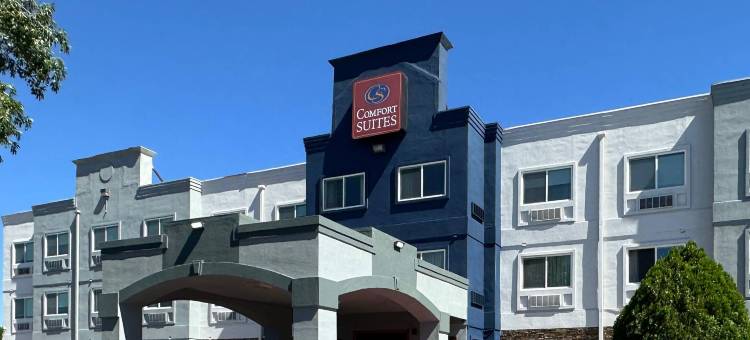 阿尔伯克基北气球嘉年华公园舒适套房酒店(Comfort Suites Albuquerque-North Journal Center)图片