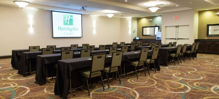 Holiday Inn & Suites 布卢明顿 - 机场(Holiday Inn & Suites Bloomington-Airport)图片