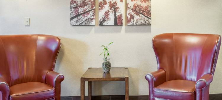 红顶套房酒店-多佛尔市区(Red Roof Inn & Suites Dover Downtown)图片