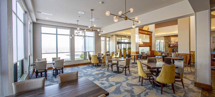 拉皮德城希尔顿花园酒店(Hilton Garden Inn Rapid City)图片