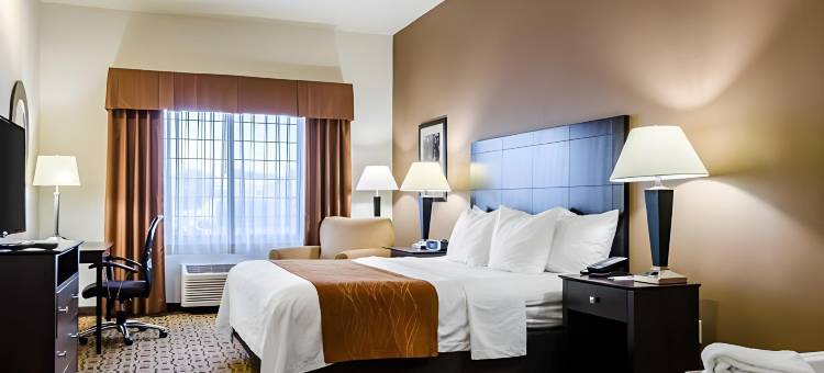 舒适套房酒店-劳伦斯大学城(Comfort Inn & Suites Lawrence - University Area)图片