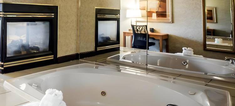 哈尼斯商场舒适套房酒店(Comfort Suites Hanes Mall)图片