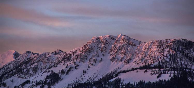 凯悦嘉轩博兹曼黄石机场(Hyatt Place Bozeman Yellowstone Airport)图片